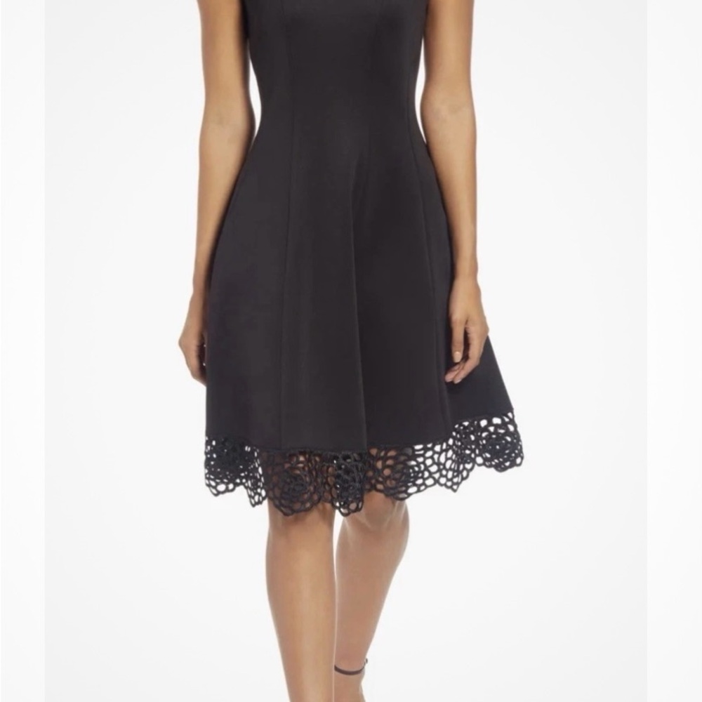 Donna Ricco Black Sleeveless Lace-Hem Fit & Flare Dress